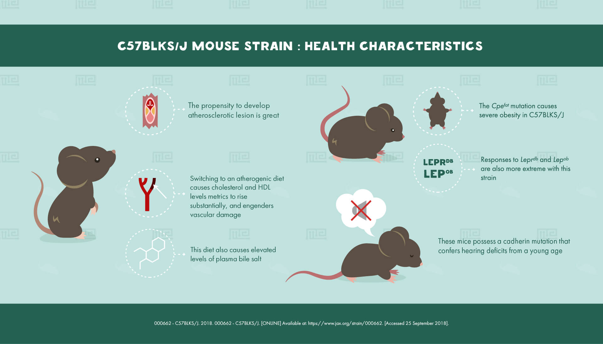 C57BLKS/J Mouse Strain : Health Characteristics