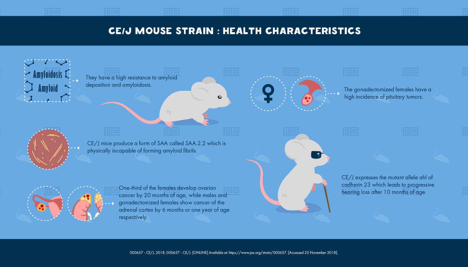 CE/J Mouse Strain - health Characteristics