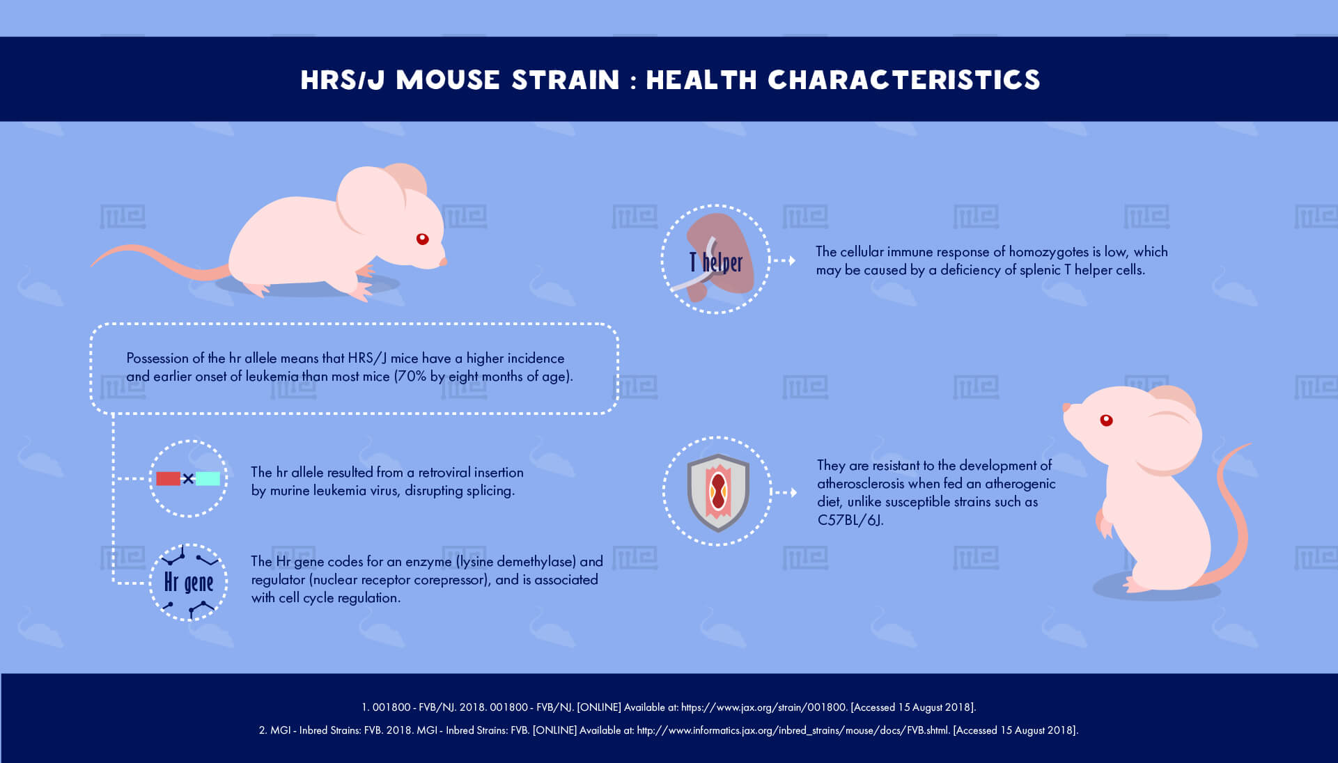 HRSJ Mouse Strain health Characteristics