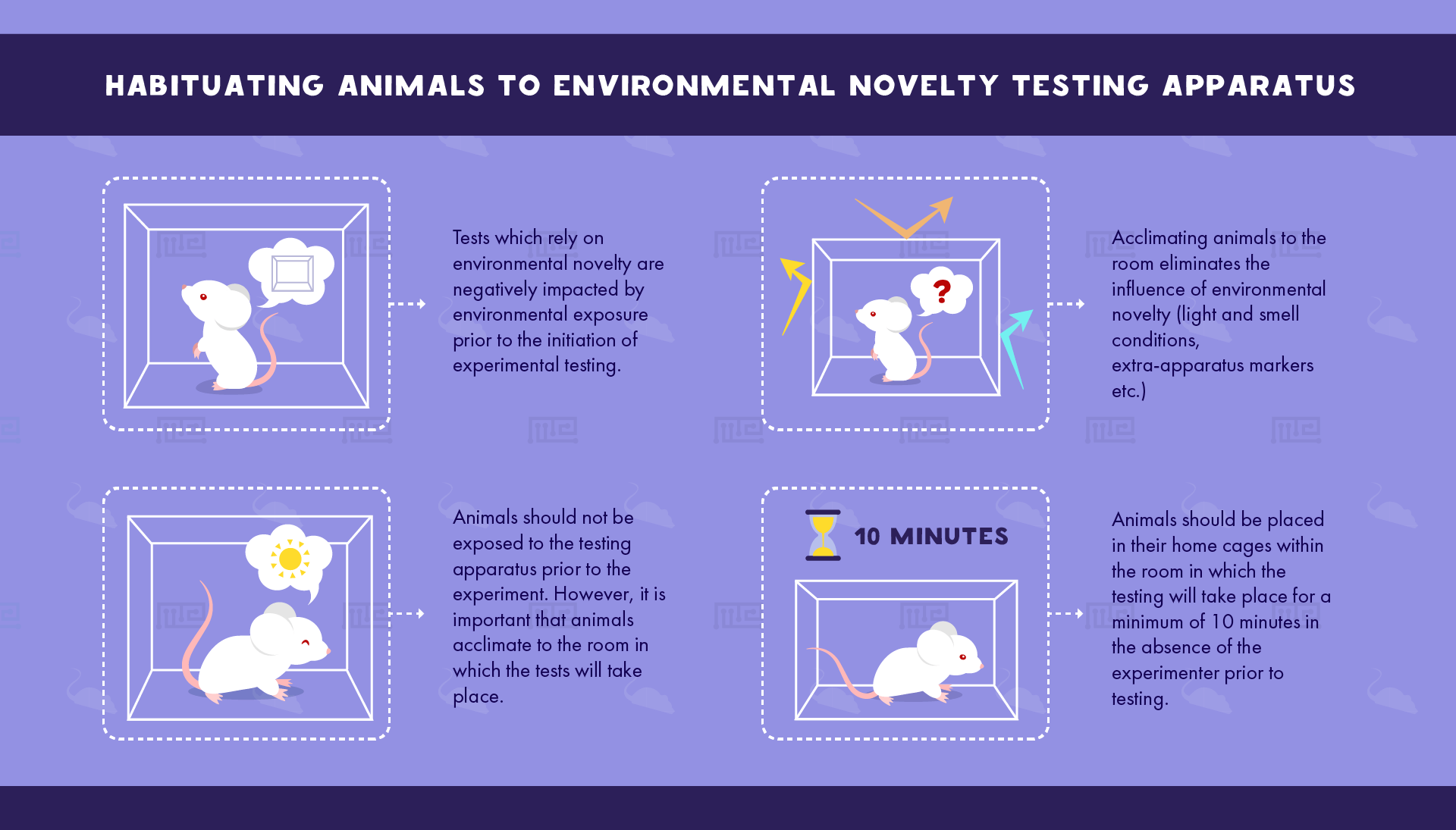 Habituating Animals To Environmental novelty testing Apparatus