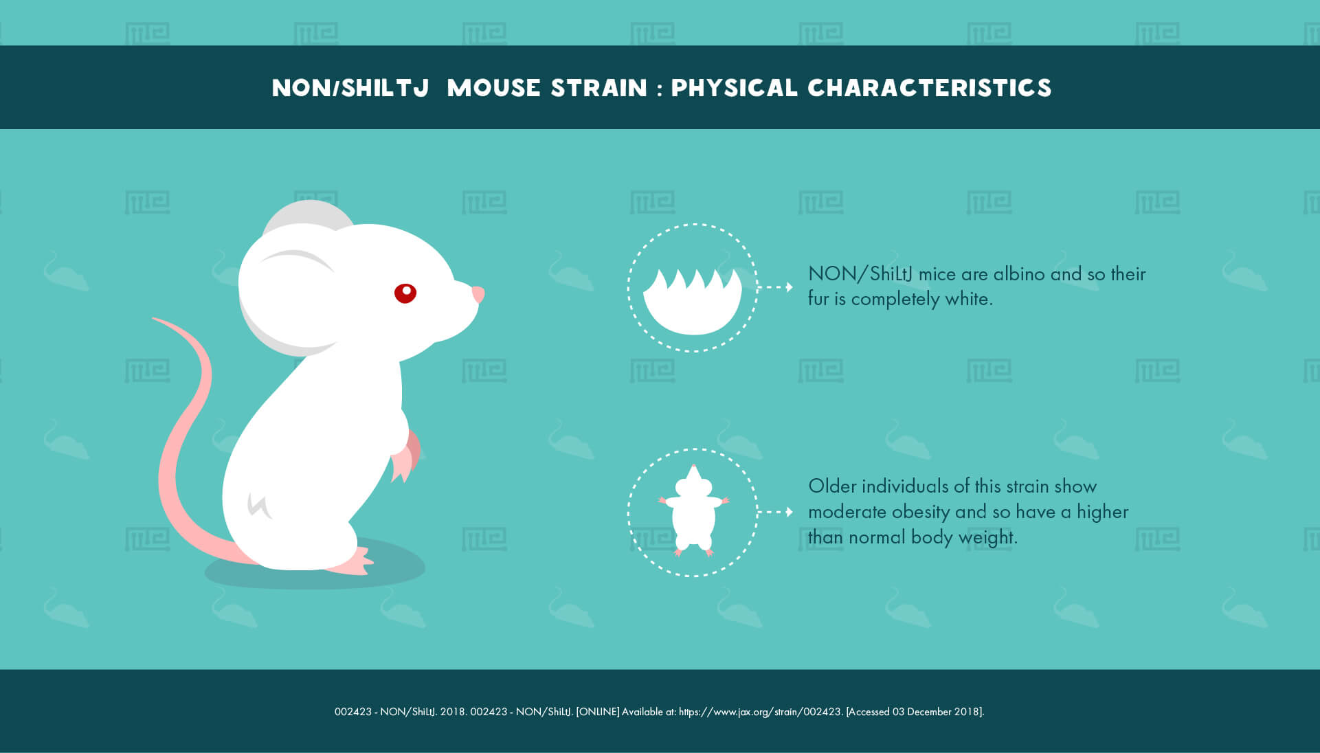 NON ShiLtJ Mouse Strain - Physical Characteristics