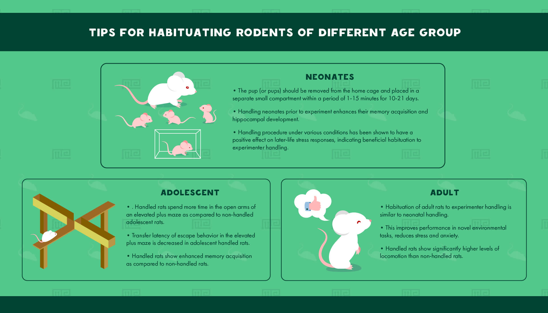 habituating rodents of different age group
