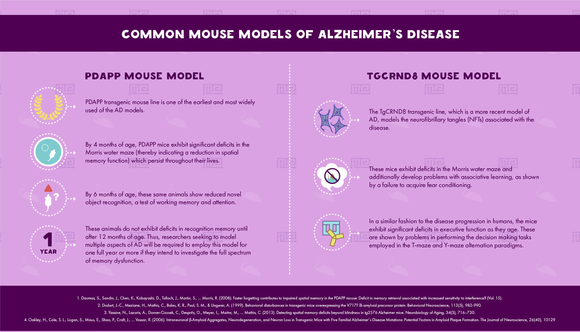 Common mouse models of Alzheimer’s Disease