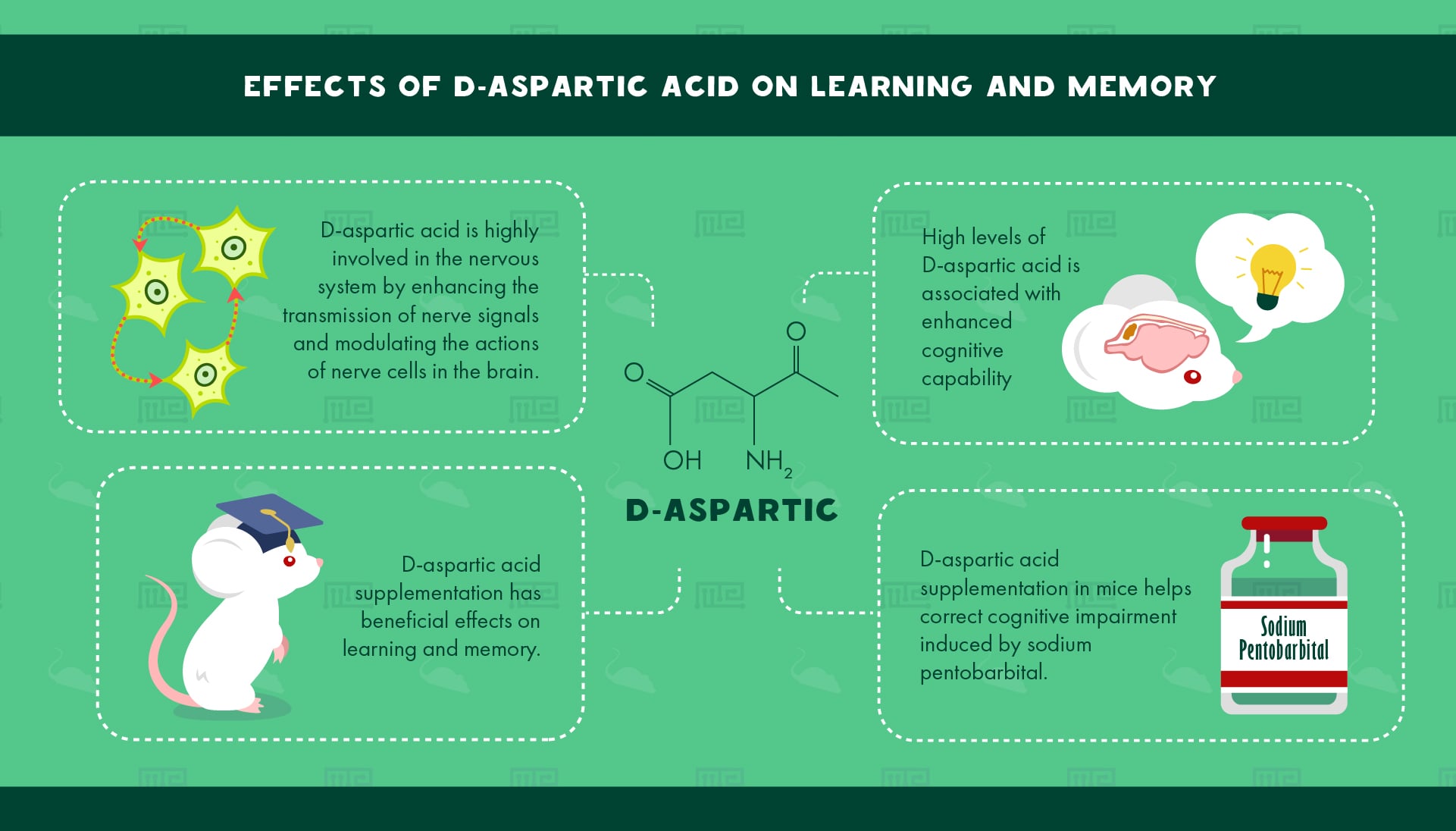 Effects of D-Aspartic Acid on Learning and Memory