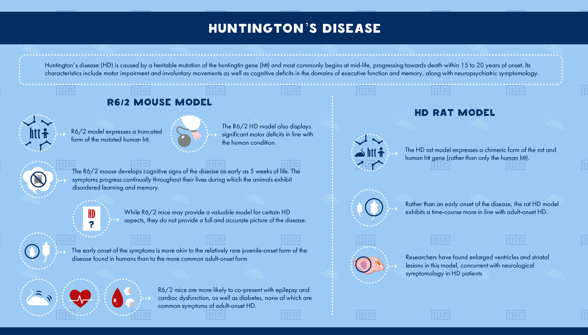 Huntington’s Disease model