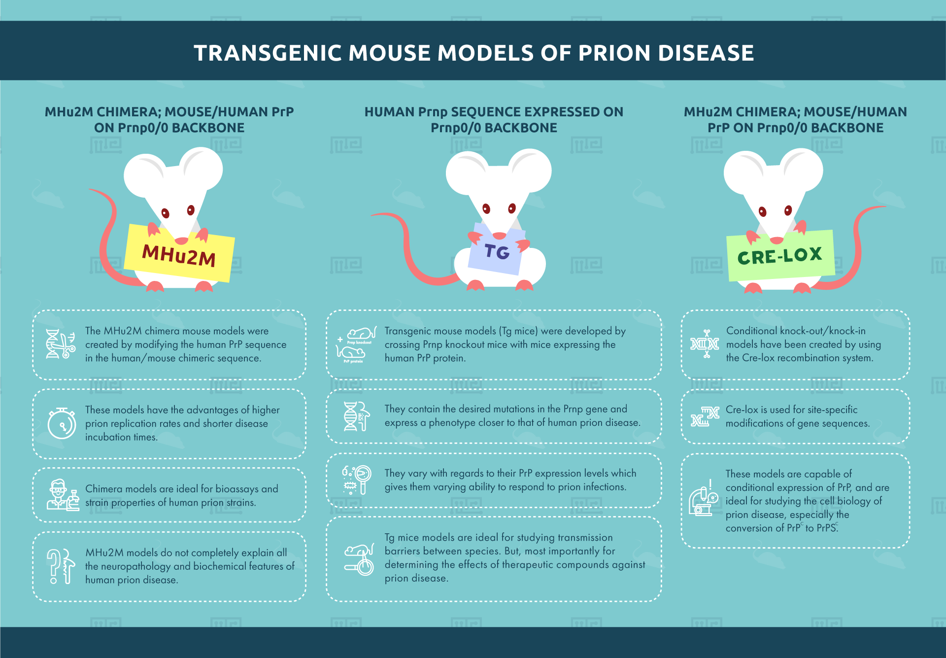 transgenic mouse models of prion disease