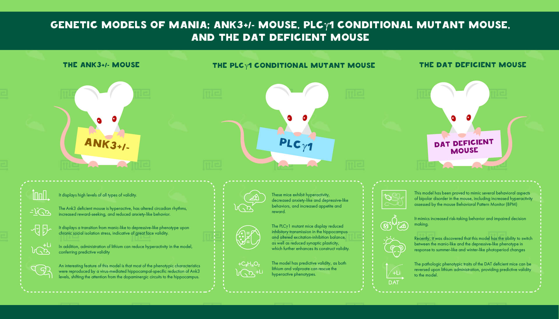Genetic Models of Mania; Ank3+-- Mouse, PLCγ1 Conditional Mutant Mouse