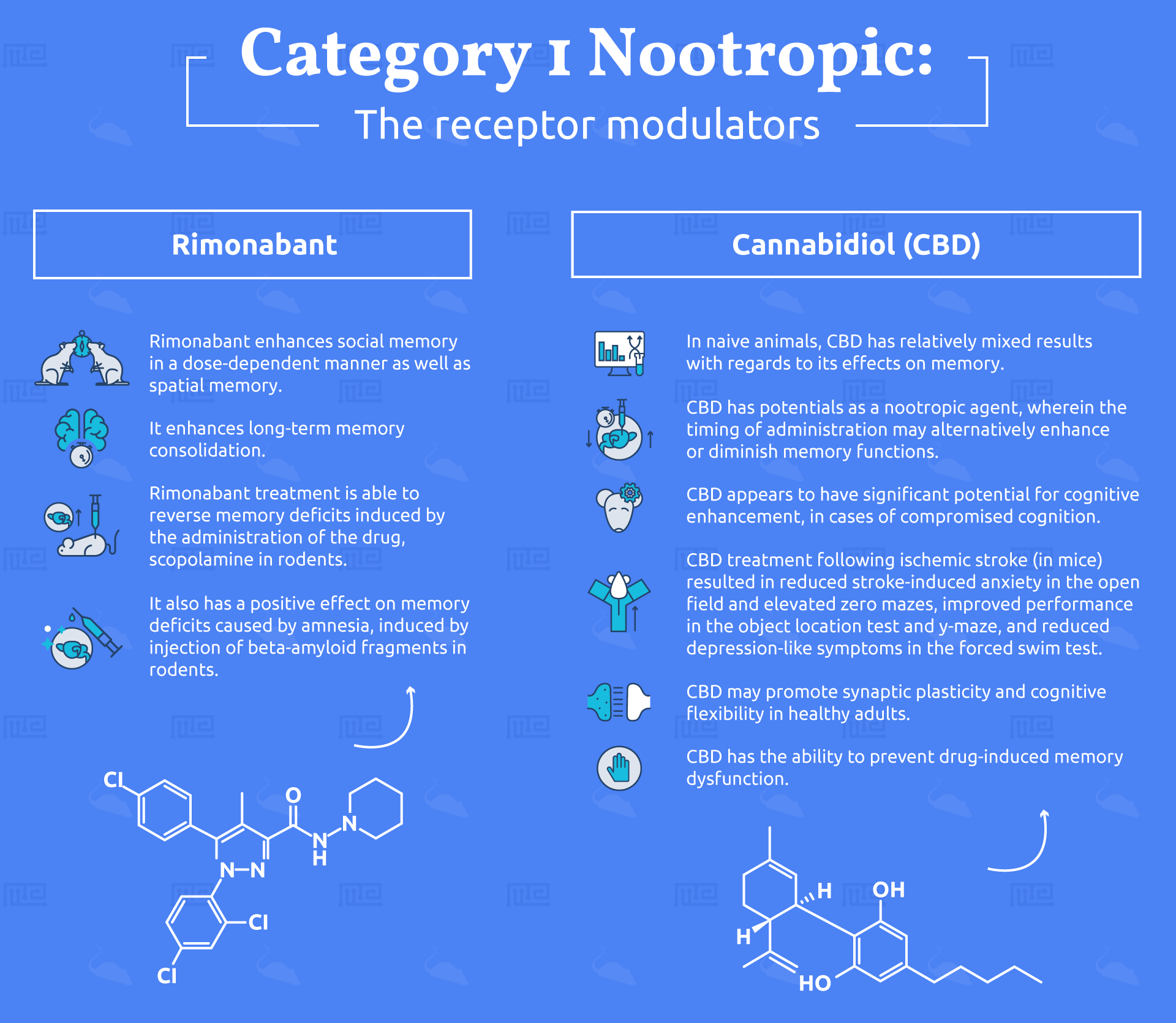 Nootropics: New Frontiers in Cognitive Enhancement
