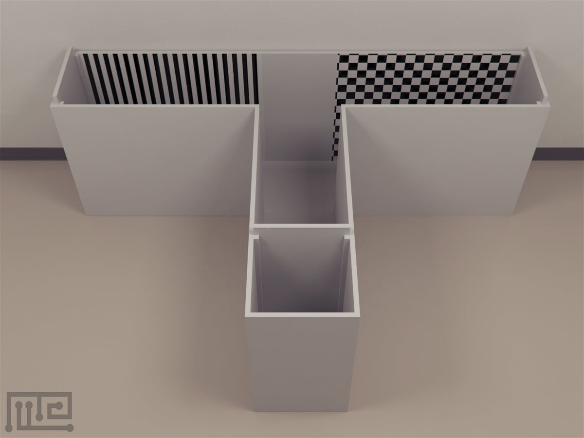 Hens_T-maze_01__00025
