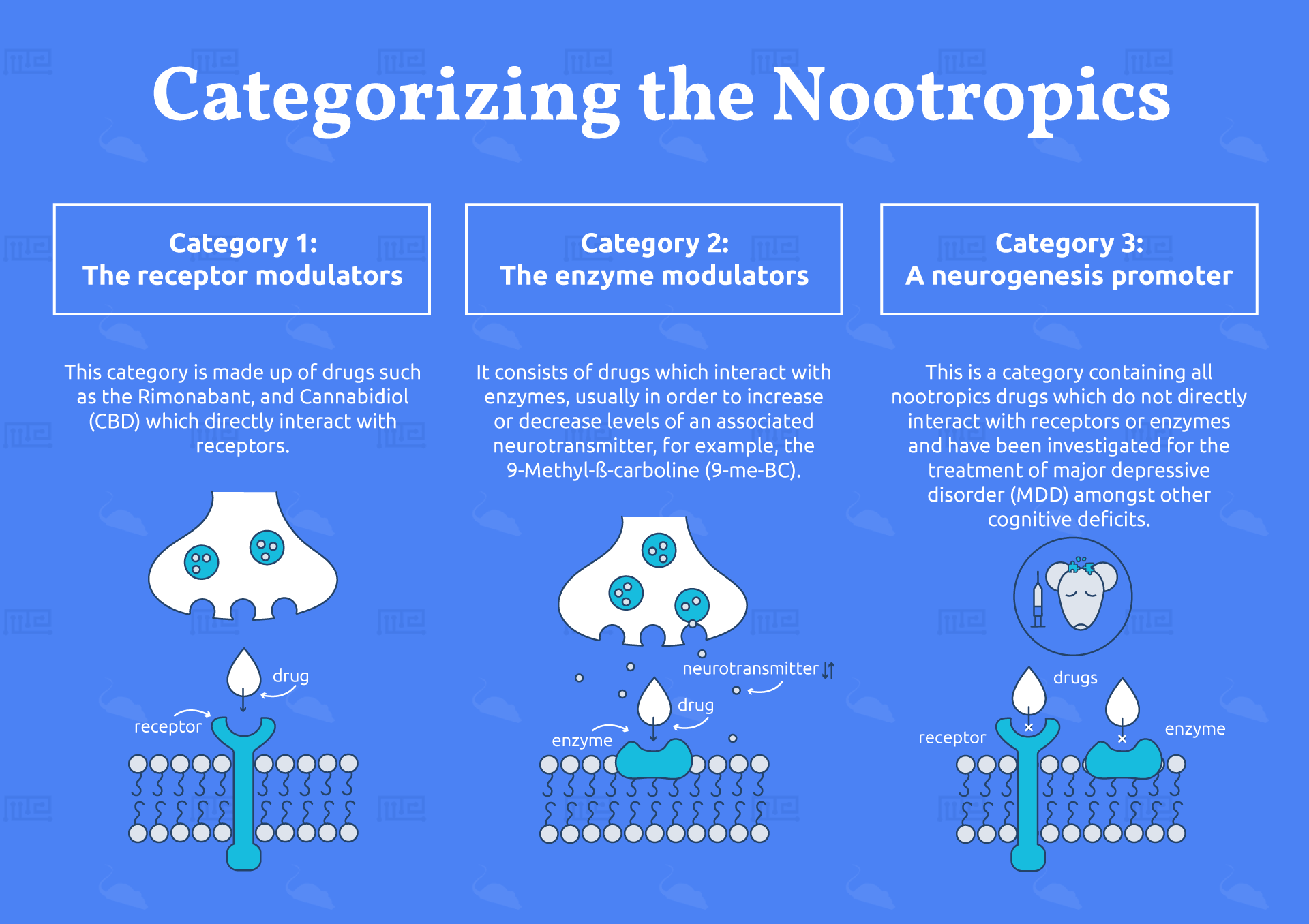 nootropic category