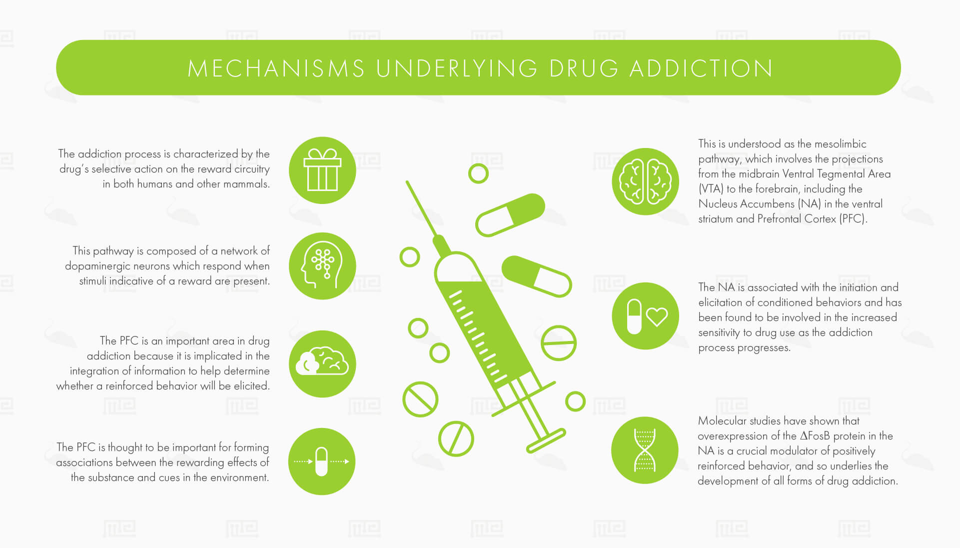 mechanisms underlying drug addiction