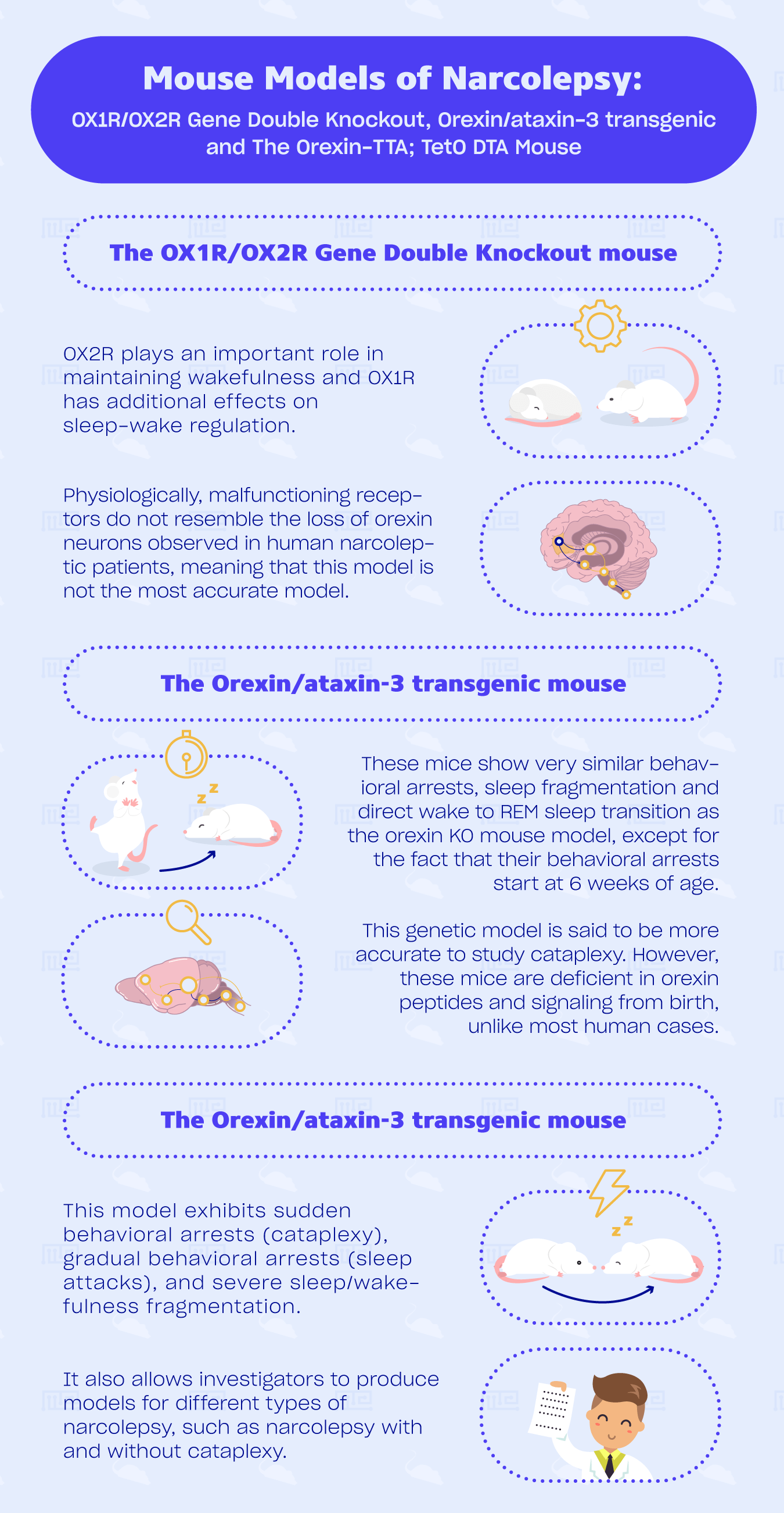 animal models of narcolepsy
