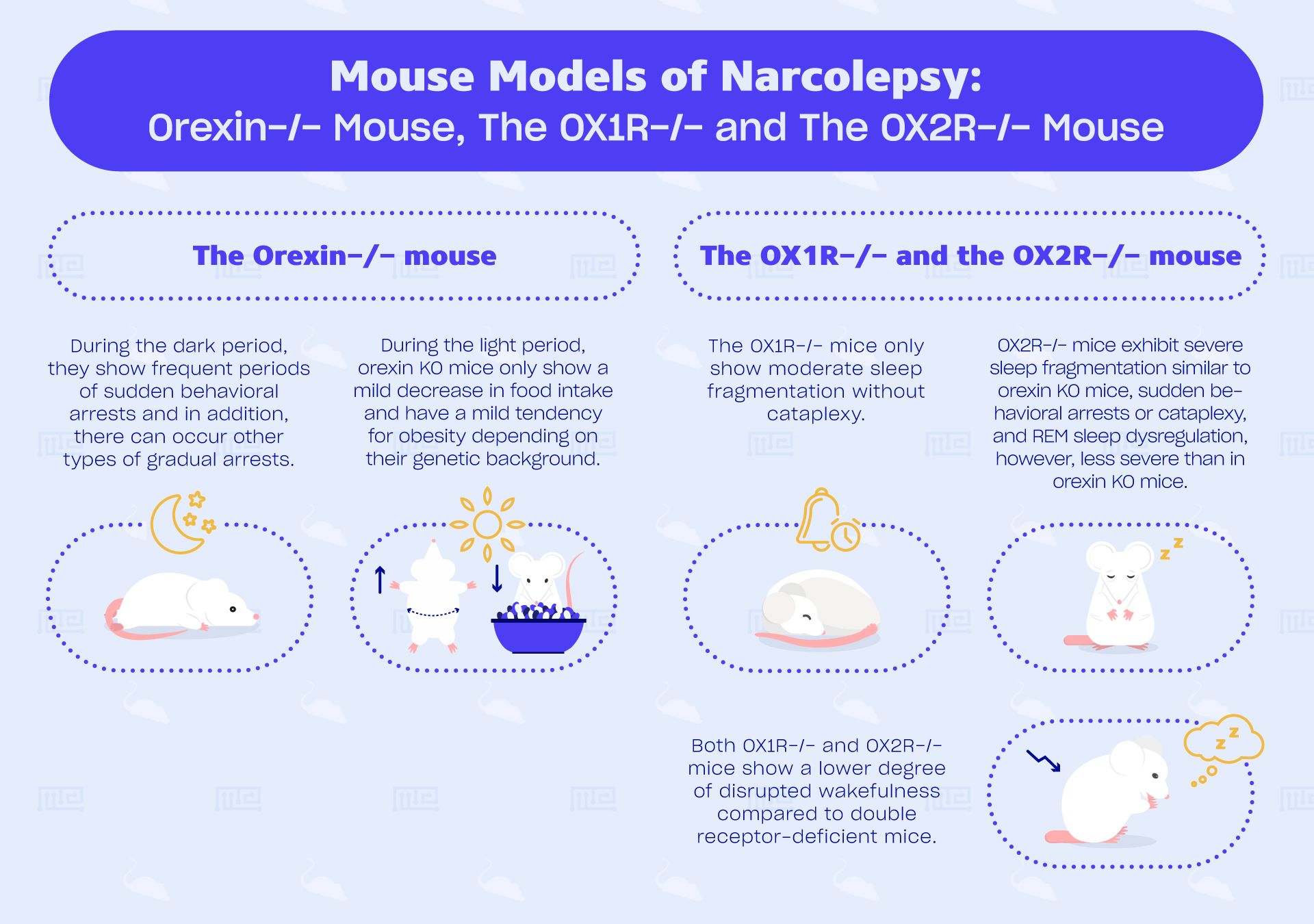 mouse models of narcolepsy