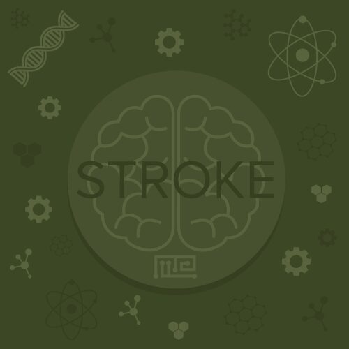 Disease-Models-stroke