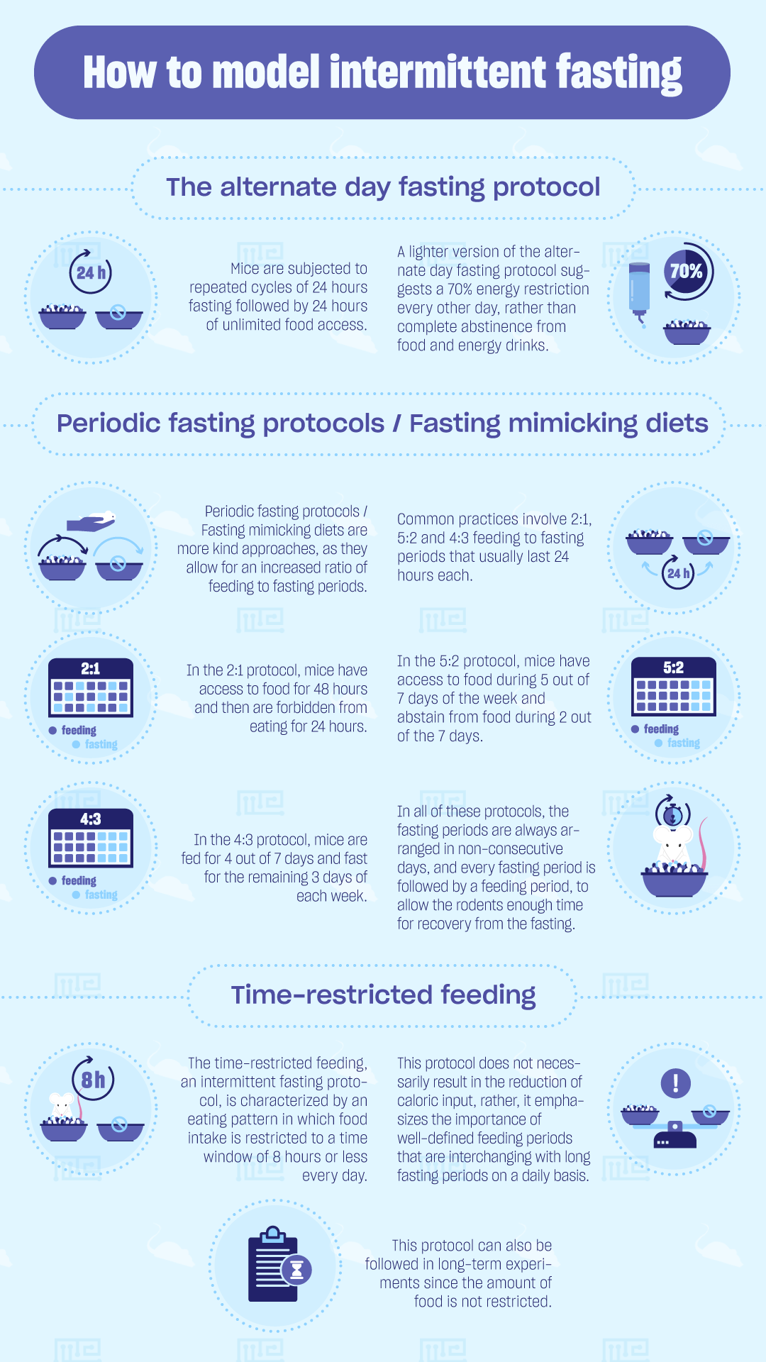 how to model intermittent fasting