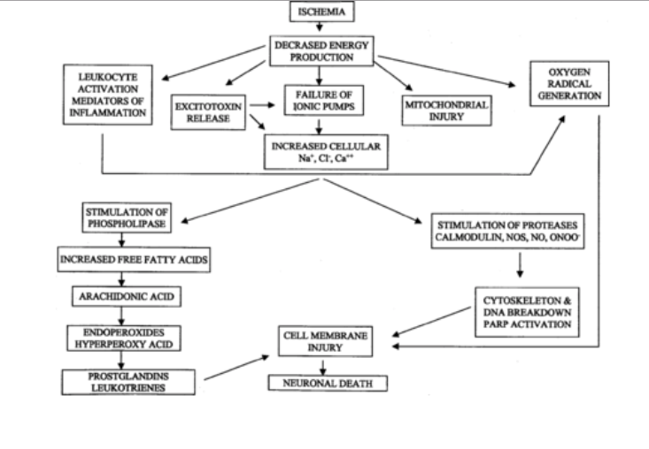 ISCHEMIC