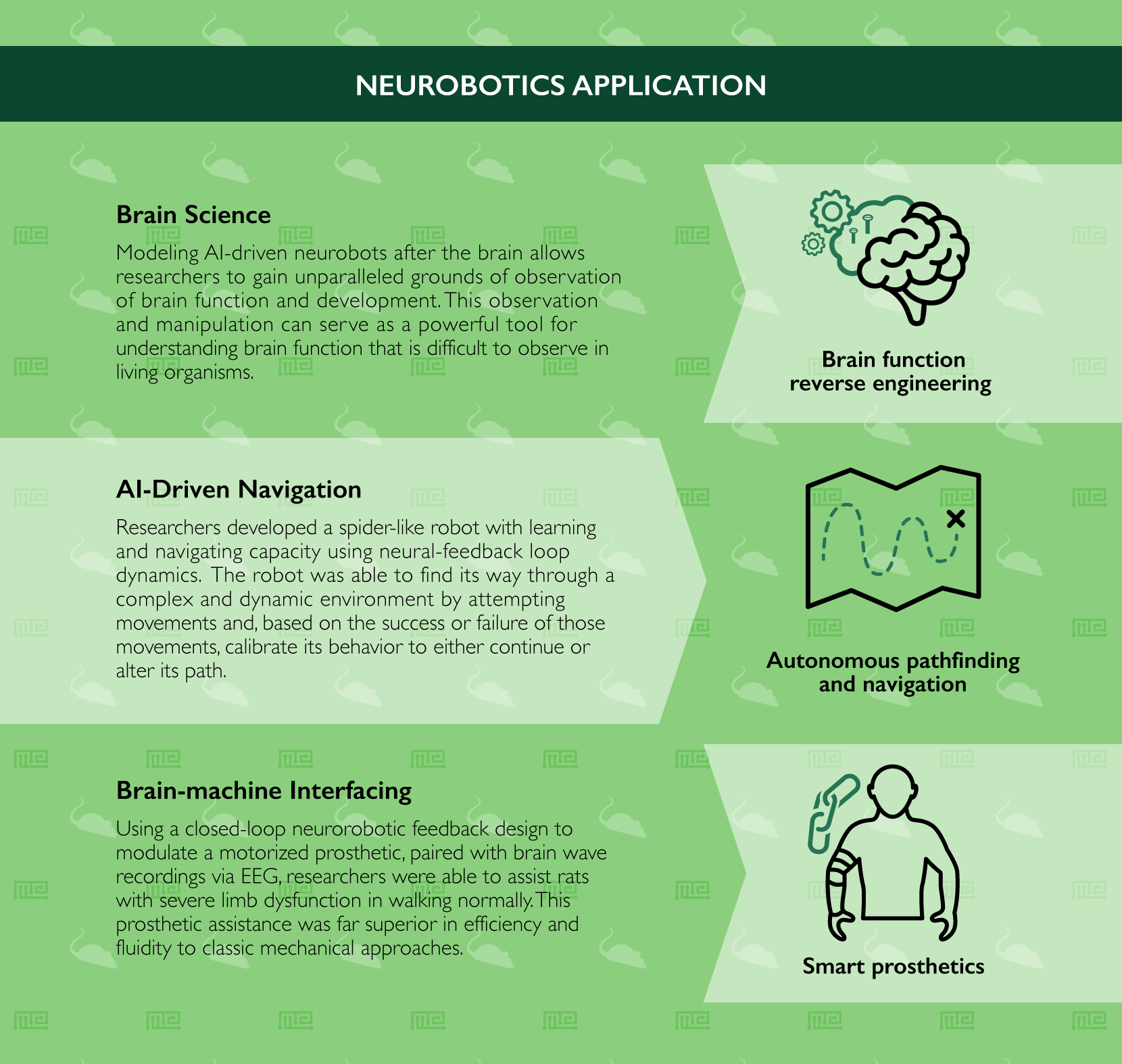 Neurorobotics Application Maze Engineers