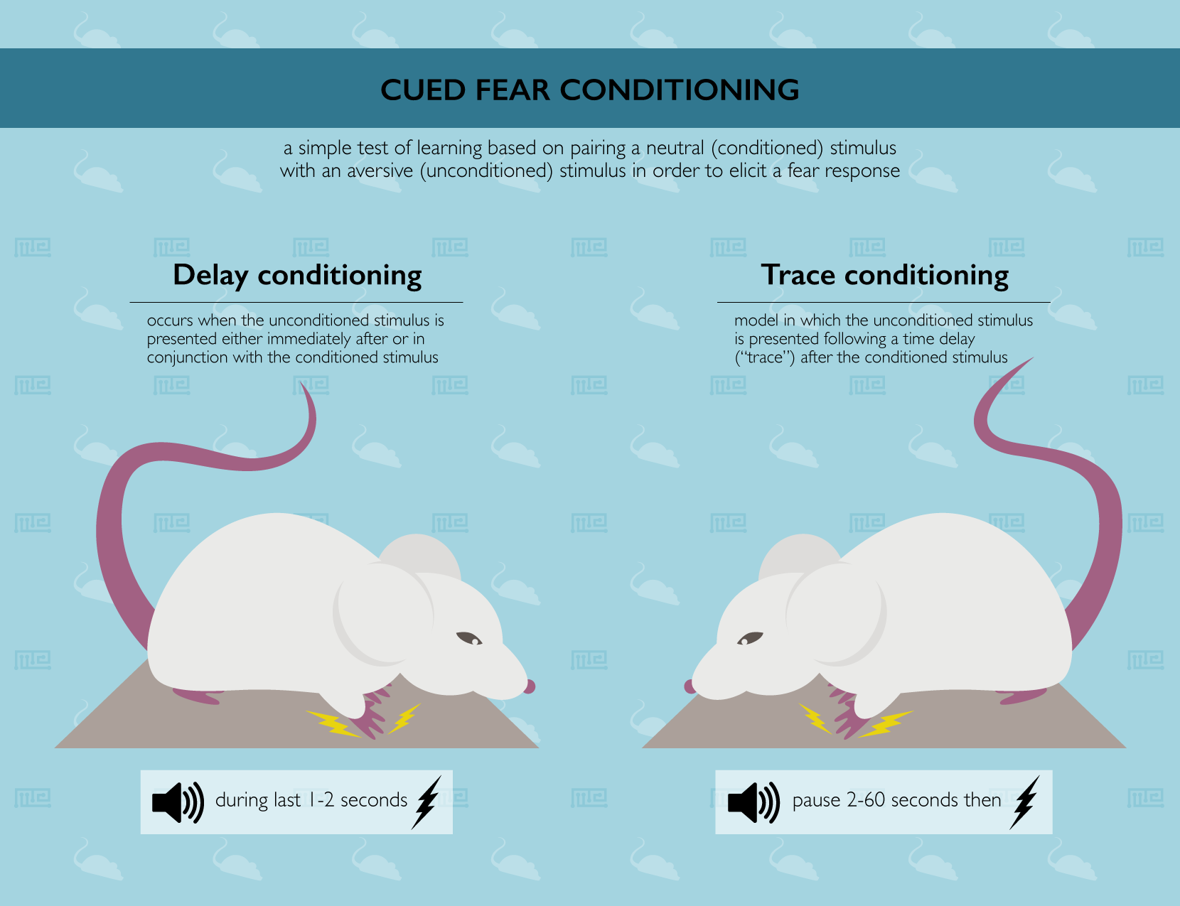 Cued Fear Conditioning - Maze Engineers