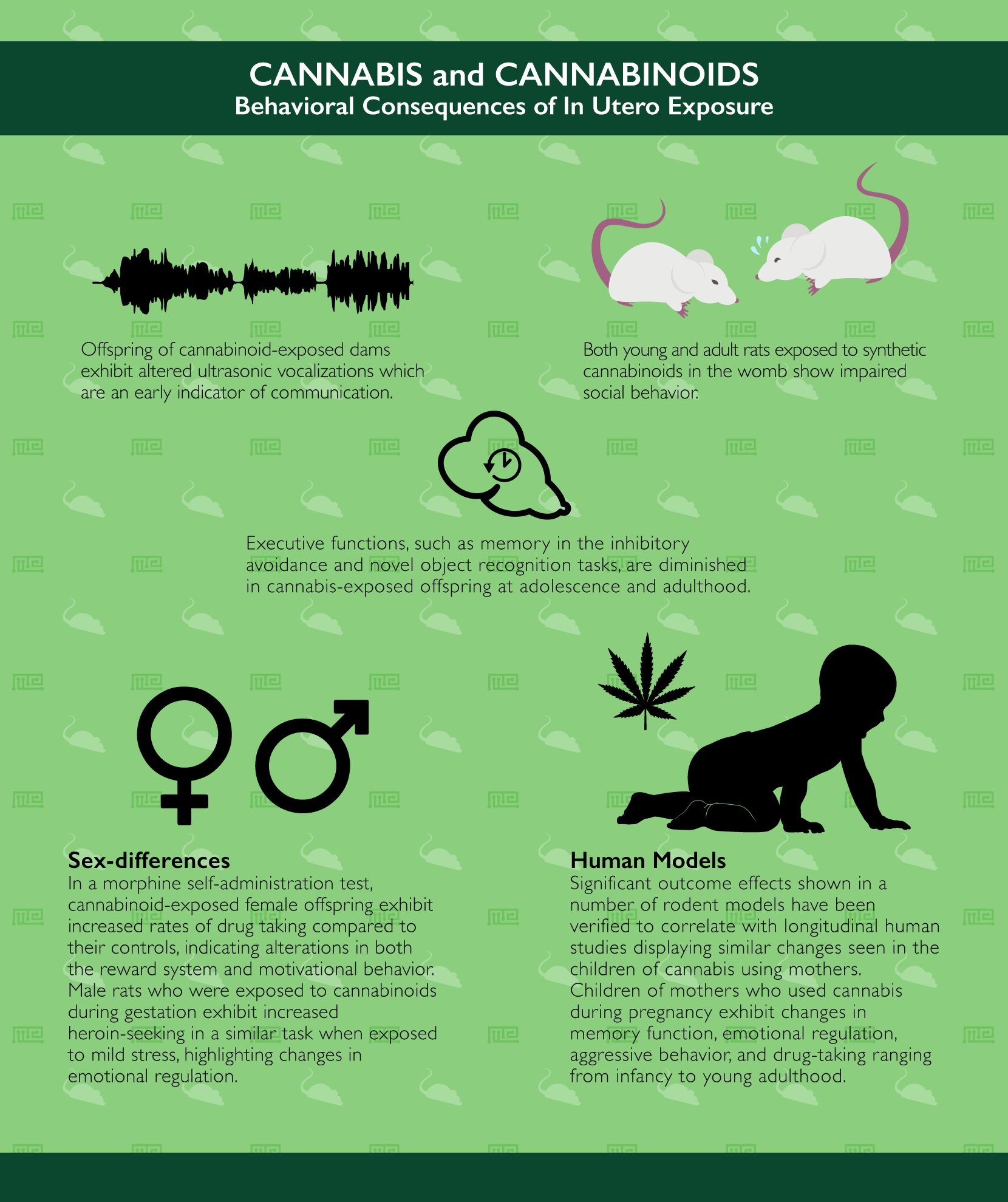 the effects of in utero cannabis exposure