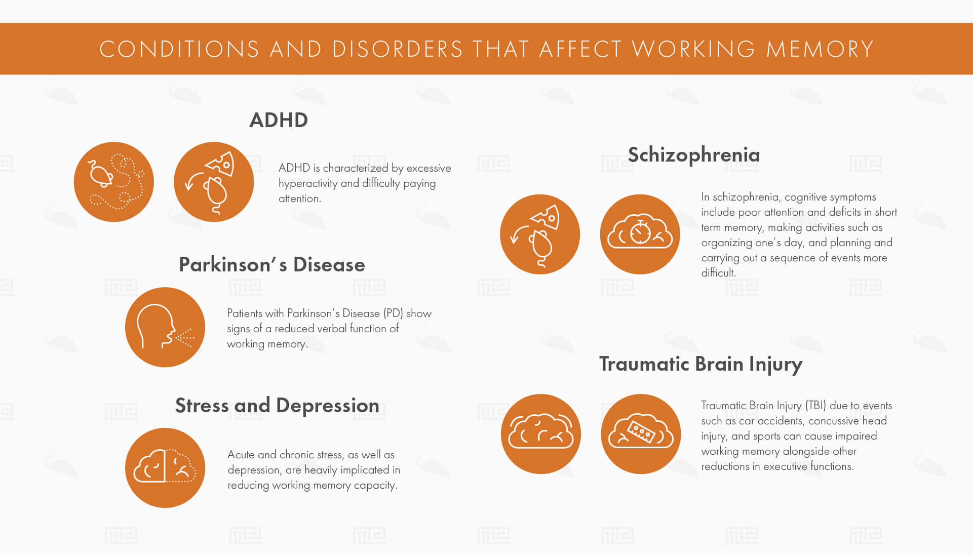 Conditions and Disorders that Affect Working Memory
