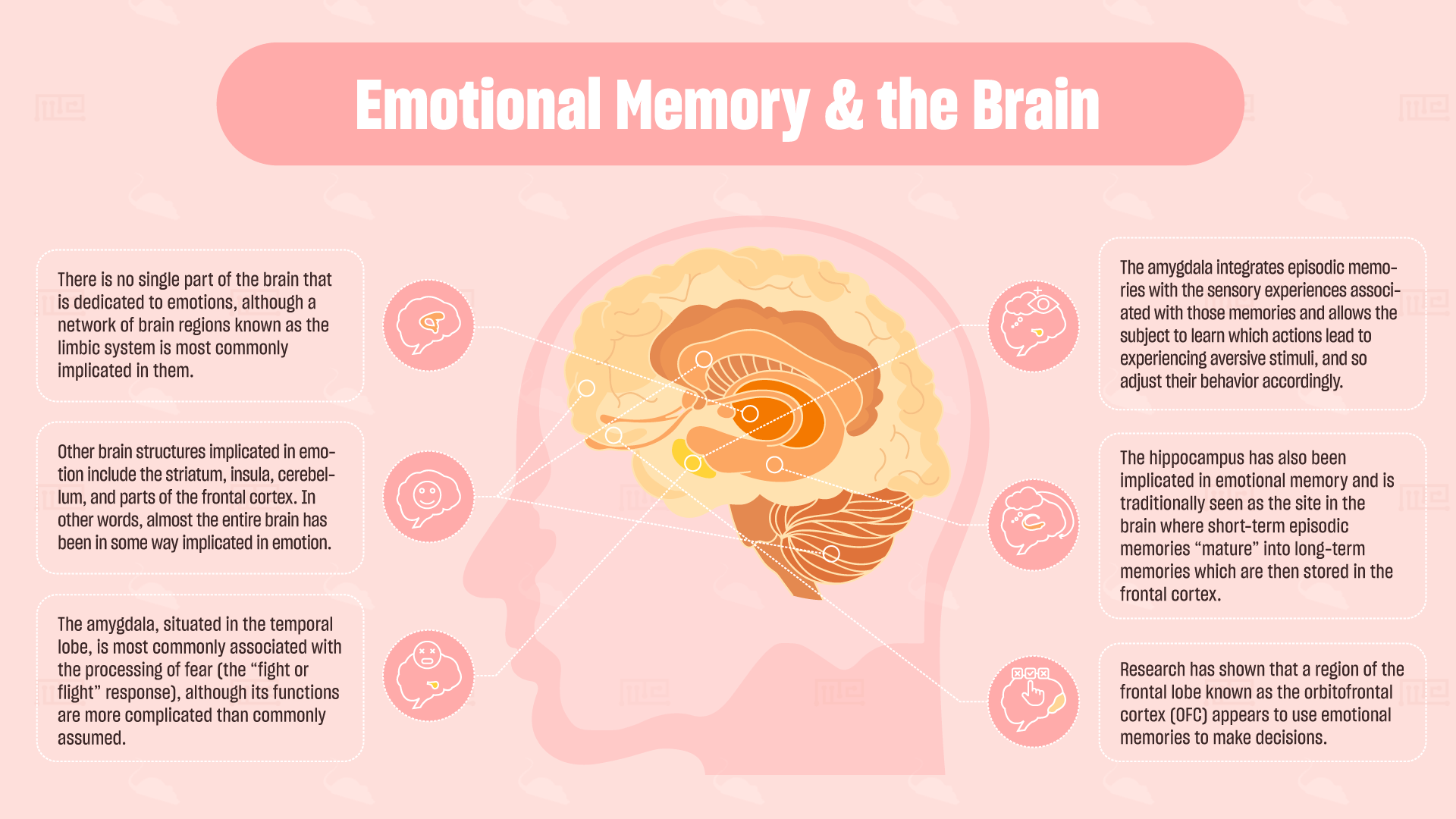 emotional memory and the brain