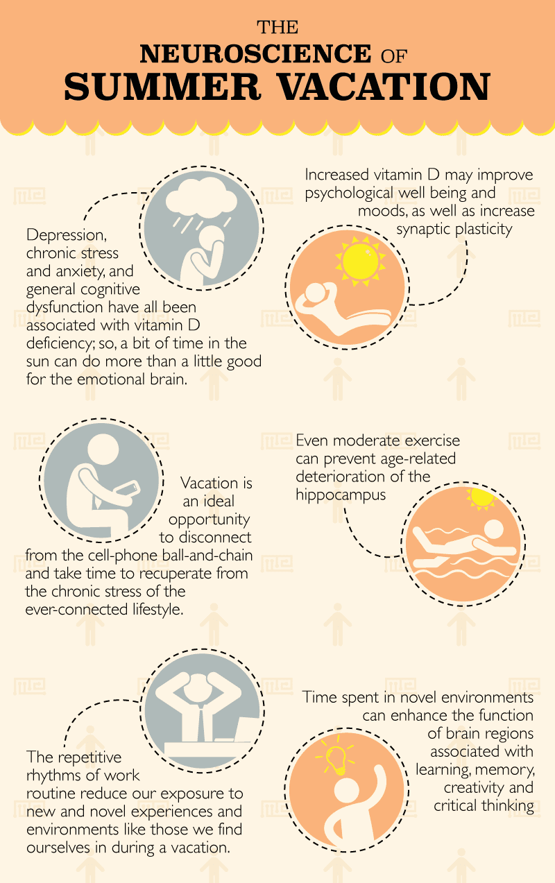 neuroscience of summer vacation