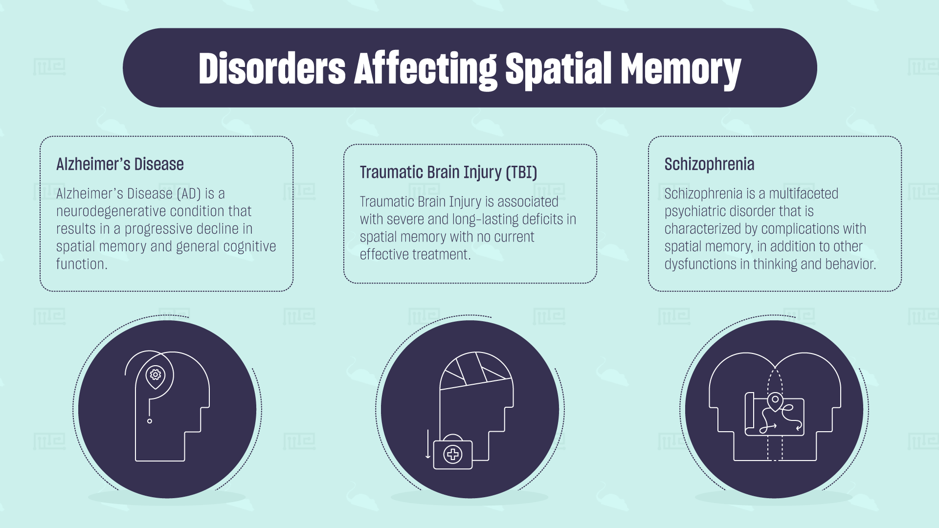 Disorders Affecting Spatial Memory
