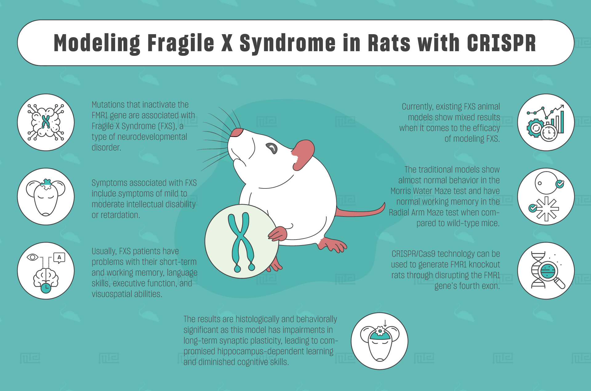 Modeling Fragile X Syndrome in Rats with CRISPR