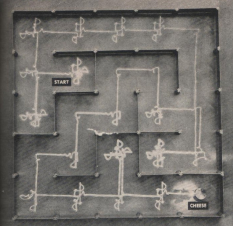 Theseus exploring a maze in history of mazes