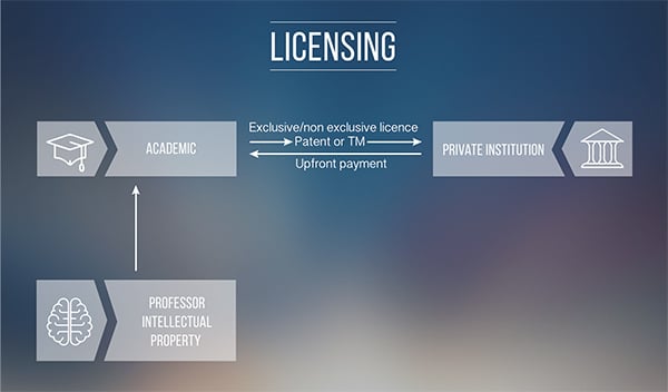 Licensing Model