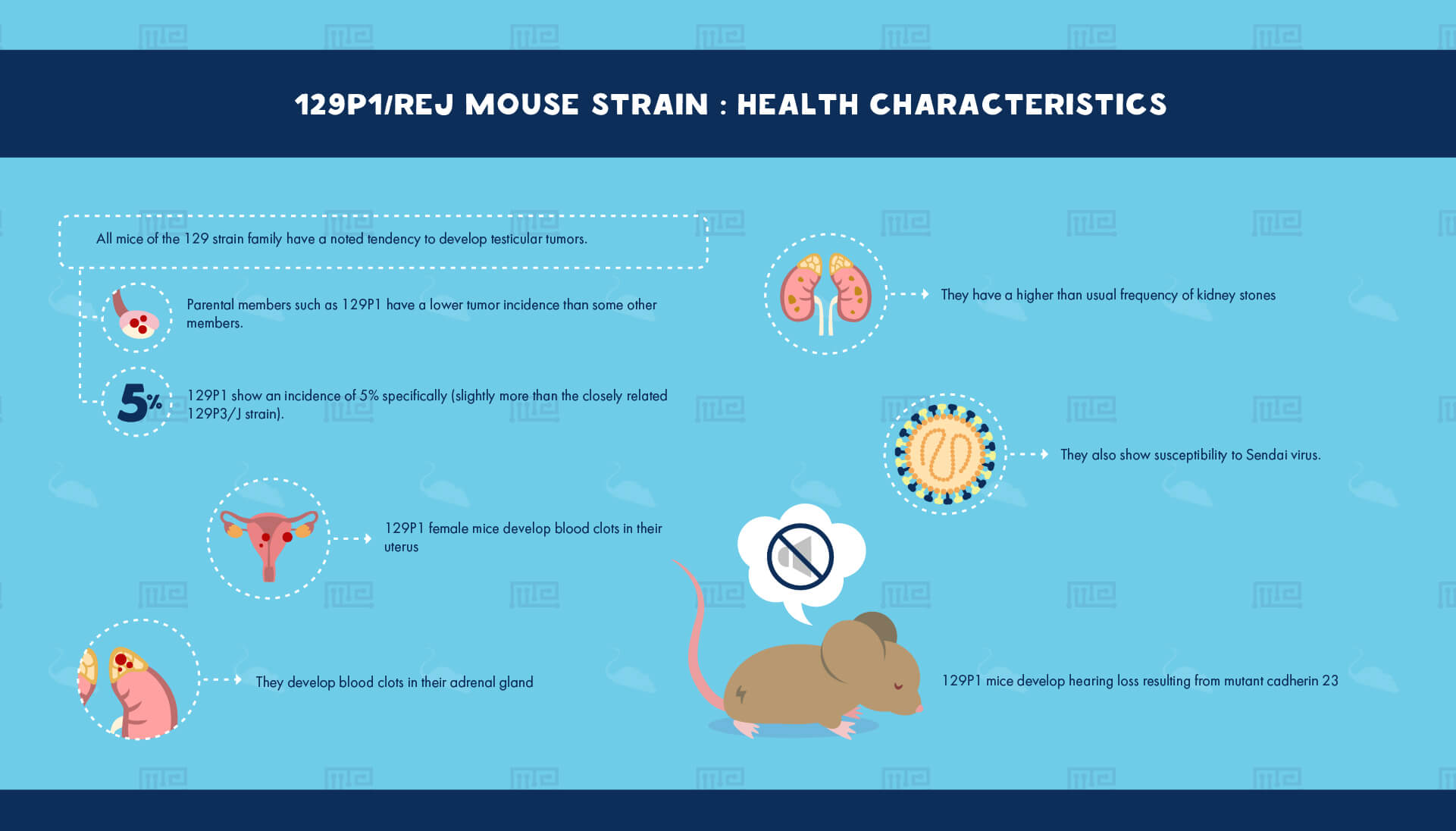 1_129P1-ReJ Mouse Strain - Health Characteristics