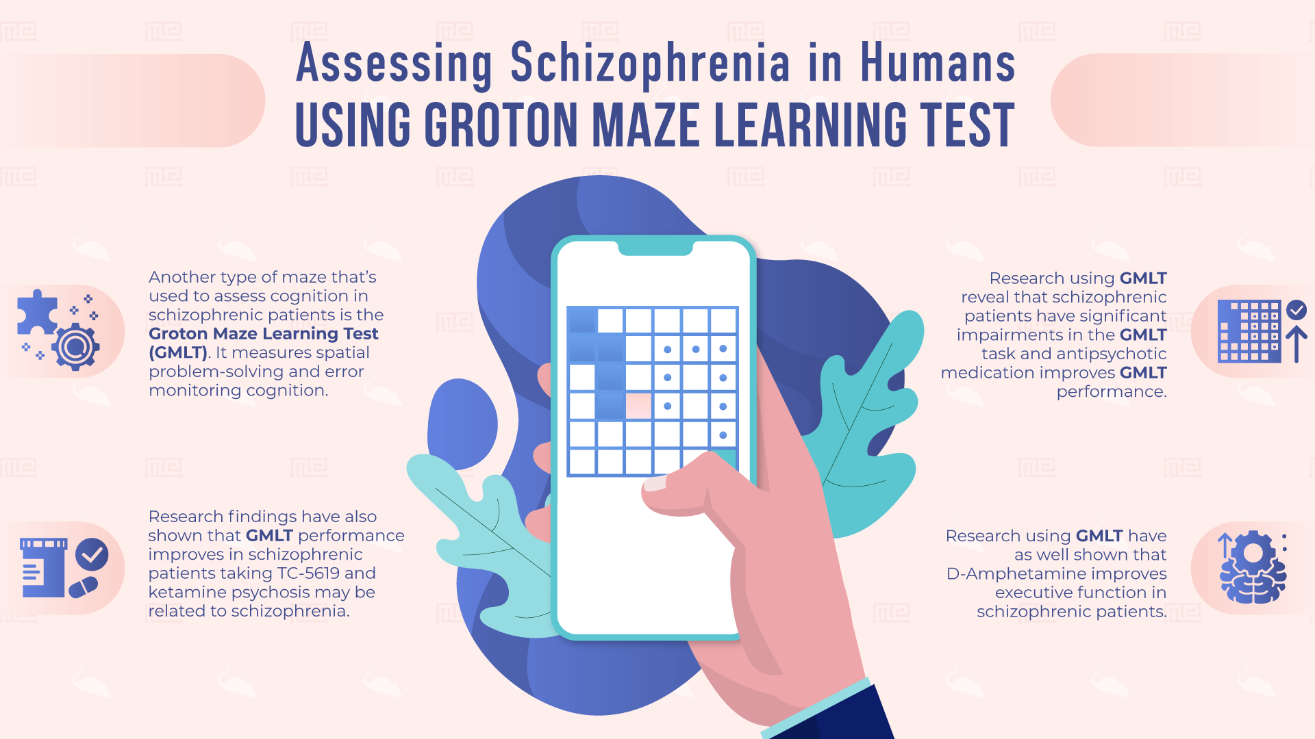 Use of Groton maze learning test to assess schizophrenia