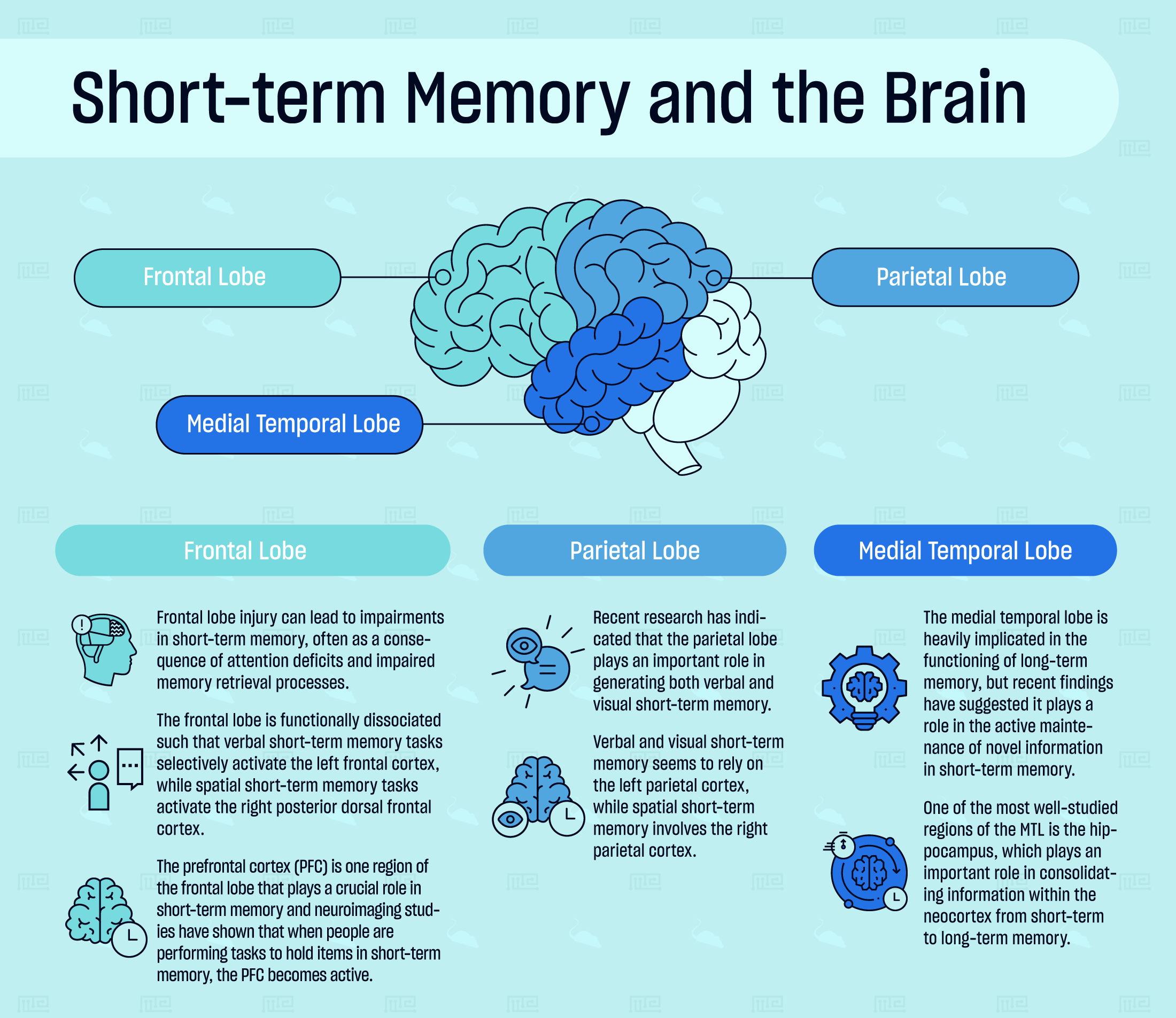 SEN: short-term memory problems