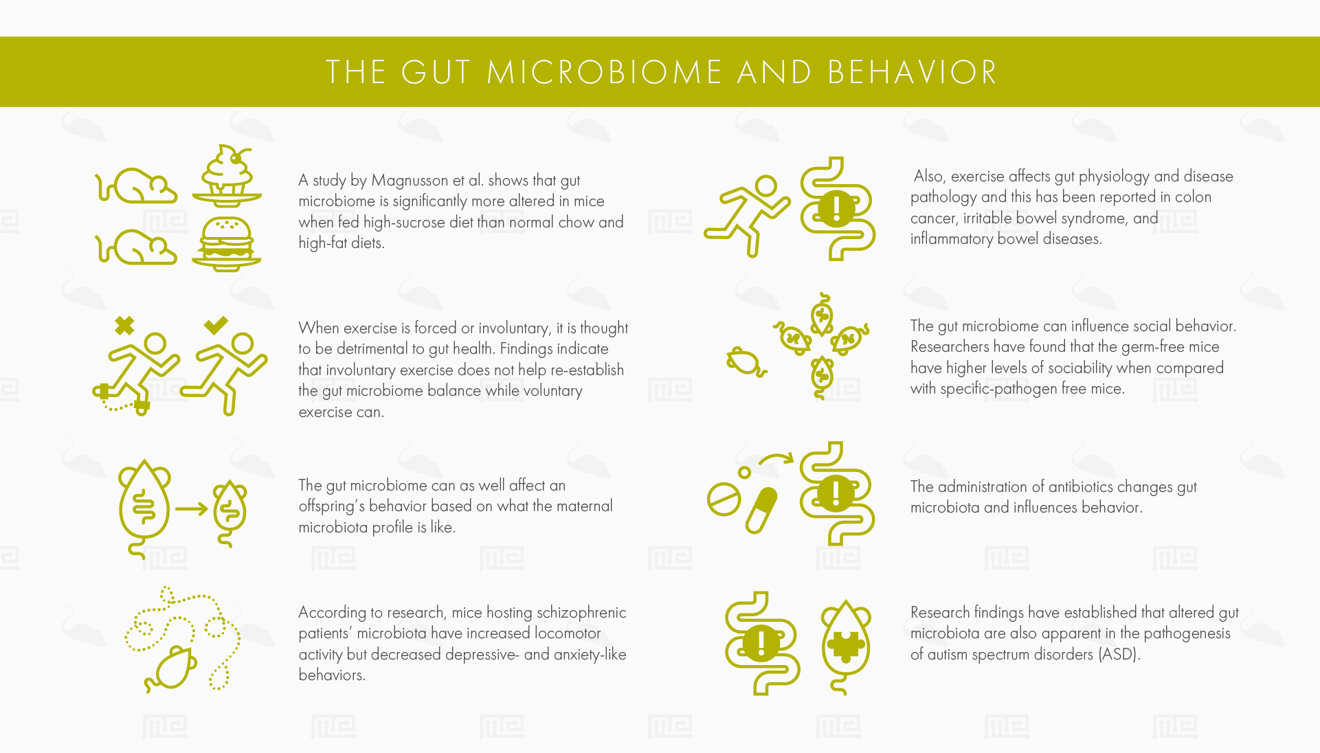 The gut microbiome and behavior