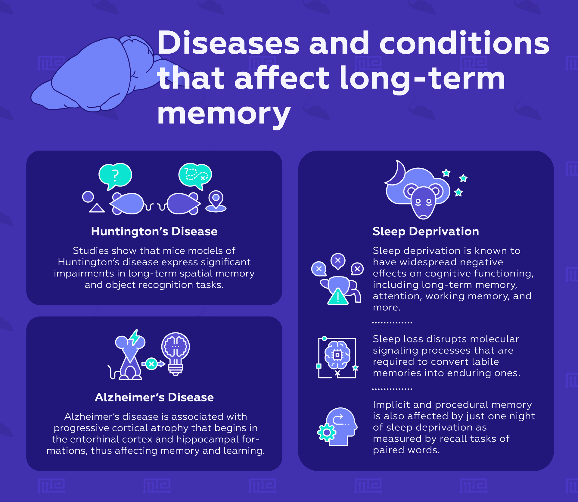 Diseases and conditions that affect long-term memory