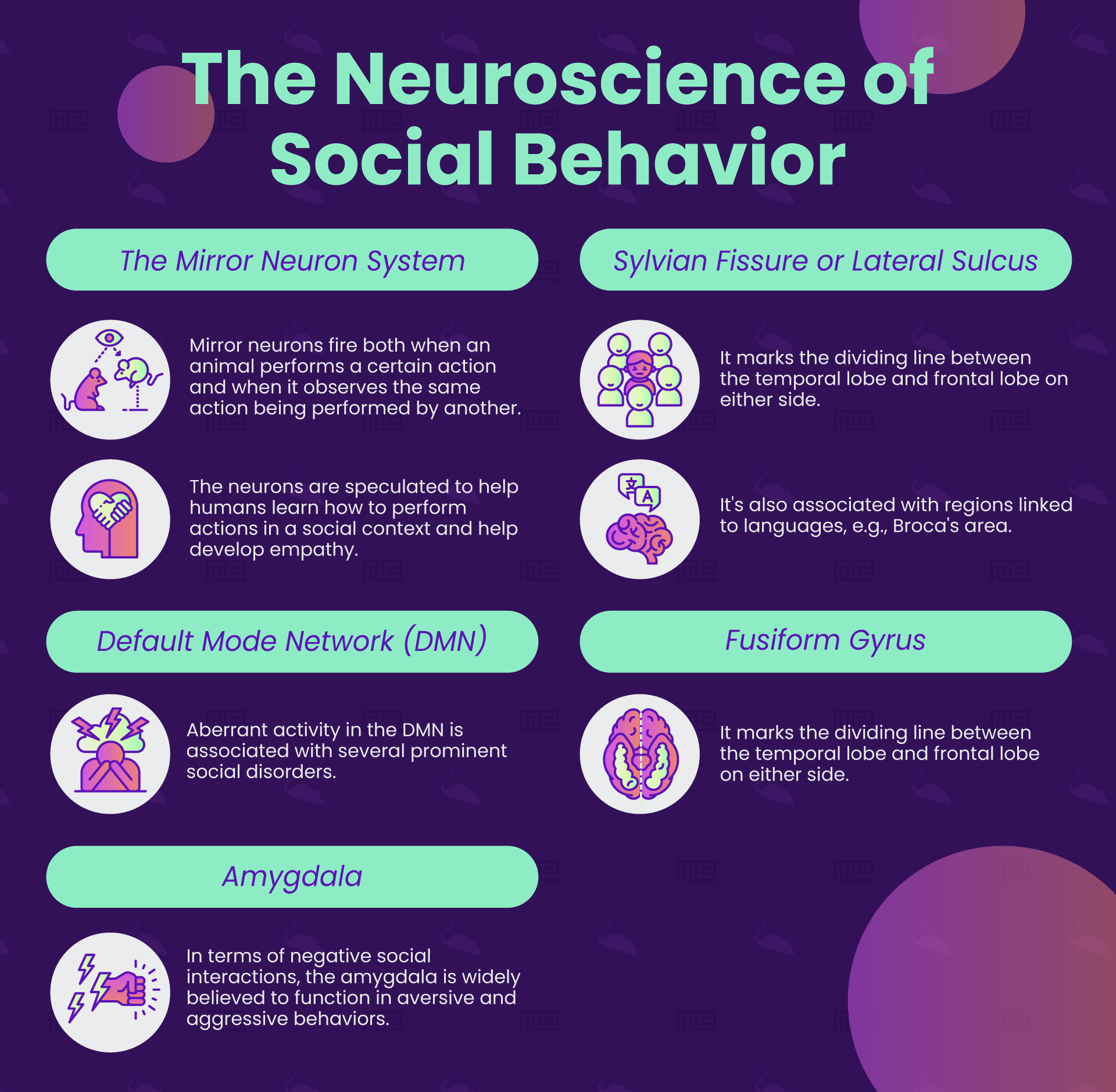 The-Neuroscience-of-Social-Behavior