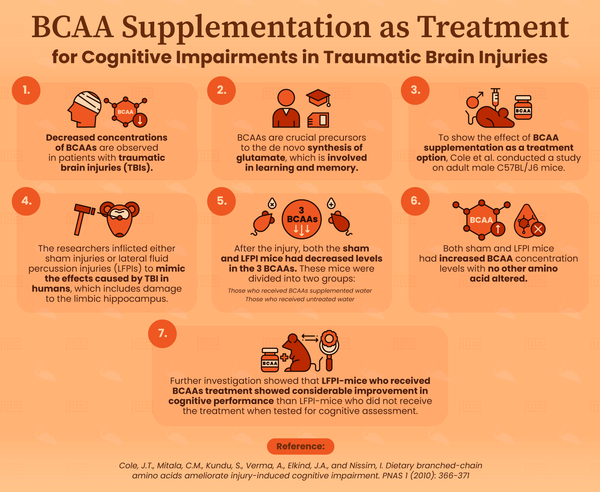 Effect of BCAAs as treatment for cognitive impairments in traumatic brain injuries