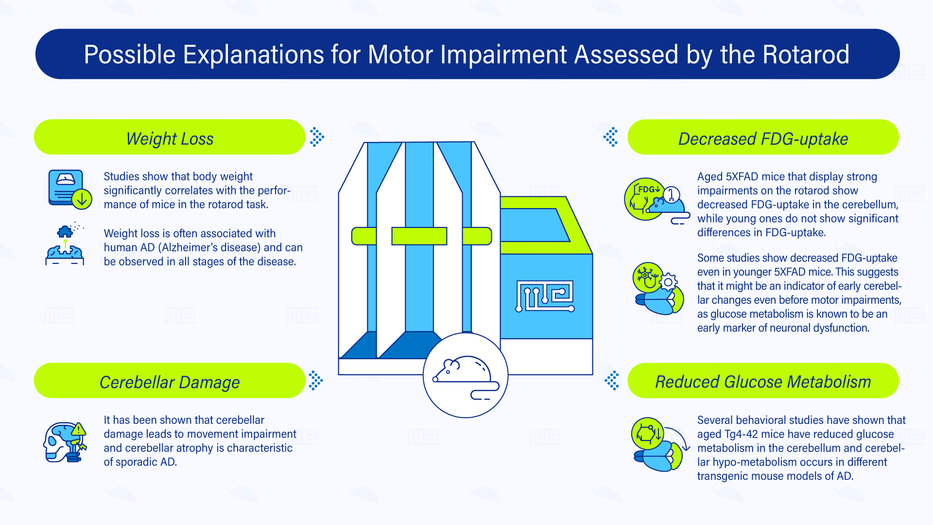 Possible explanations for motor impairment assessed by the Rotarod