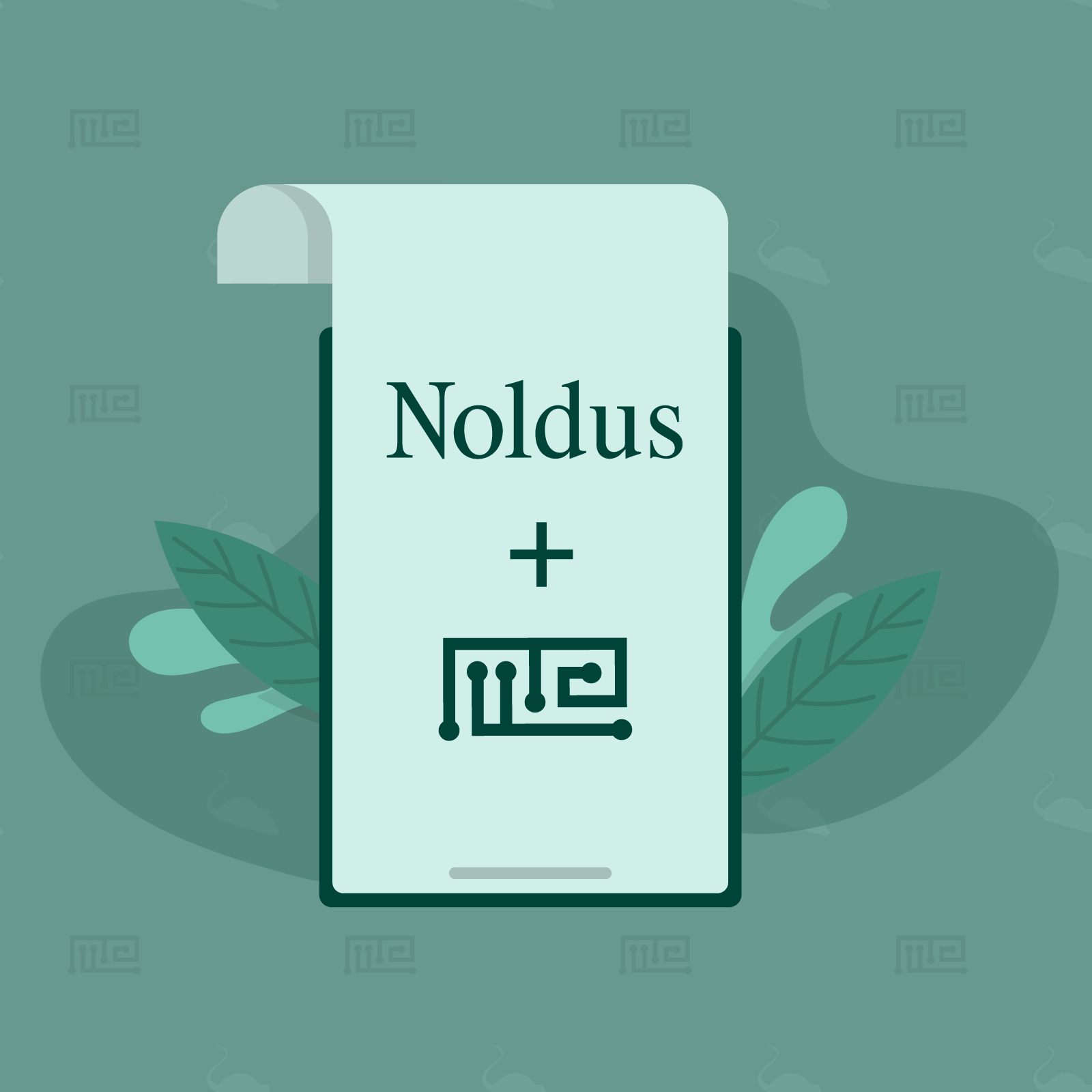 ucsfcore-maze-engineers