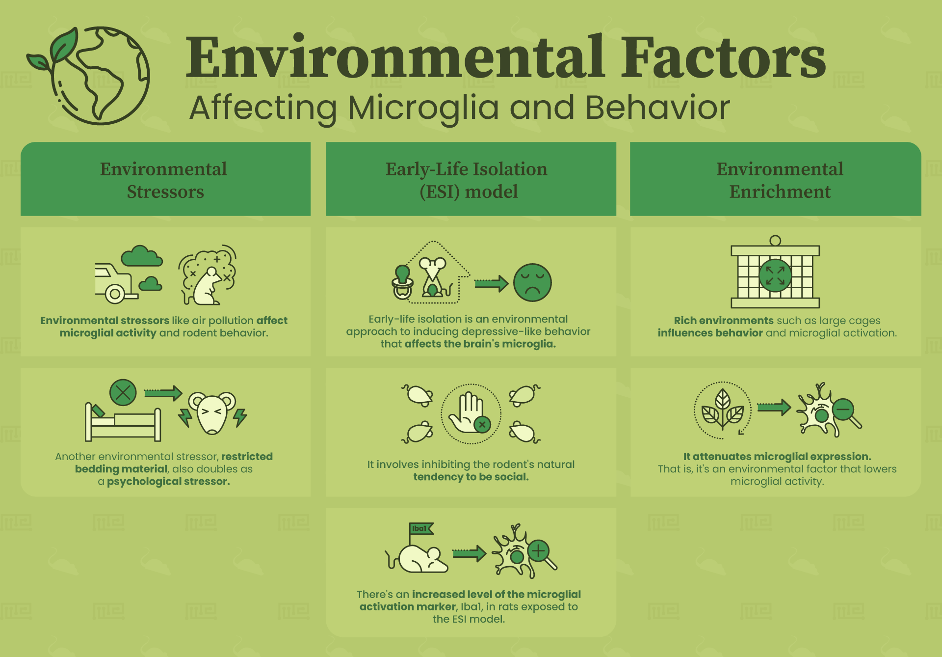 Environmental Factors Affecting Microglial and Behavior