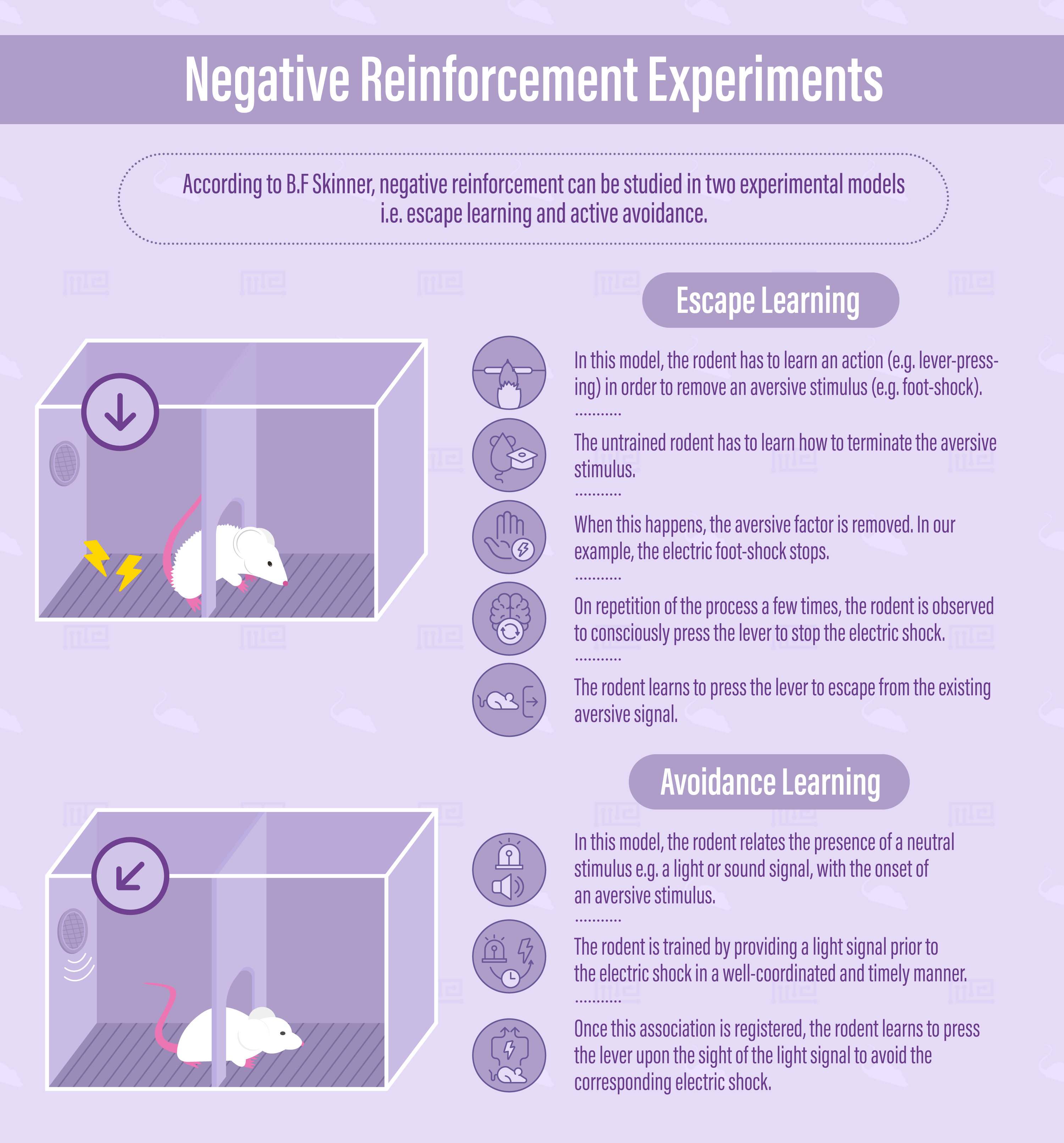 Negative Reinforcement Experiments