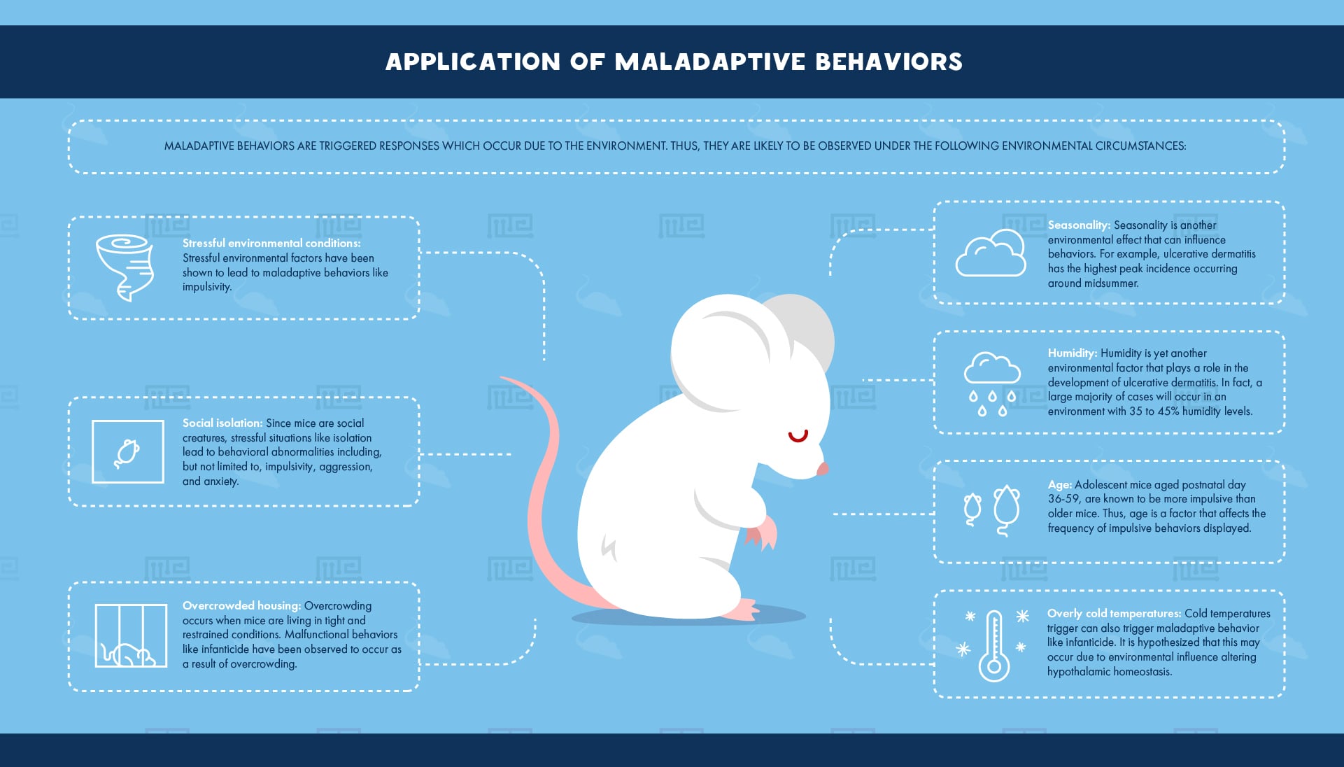 Application of Maladaptive Behaviors
