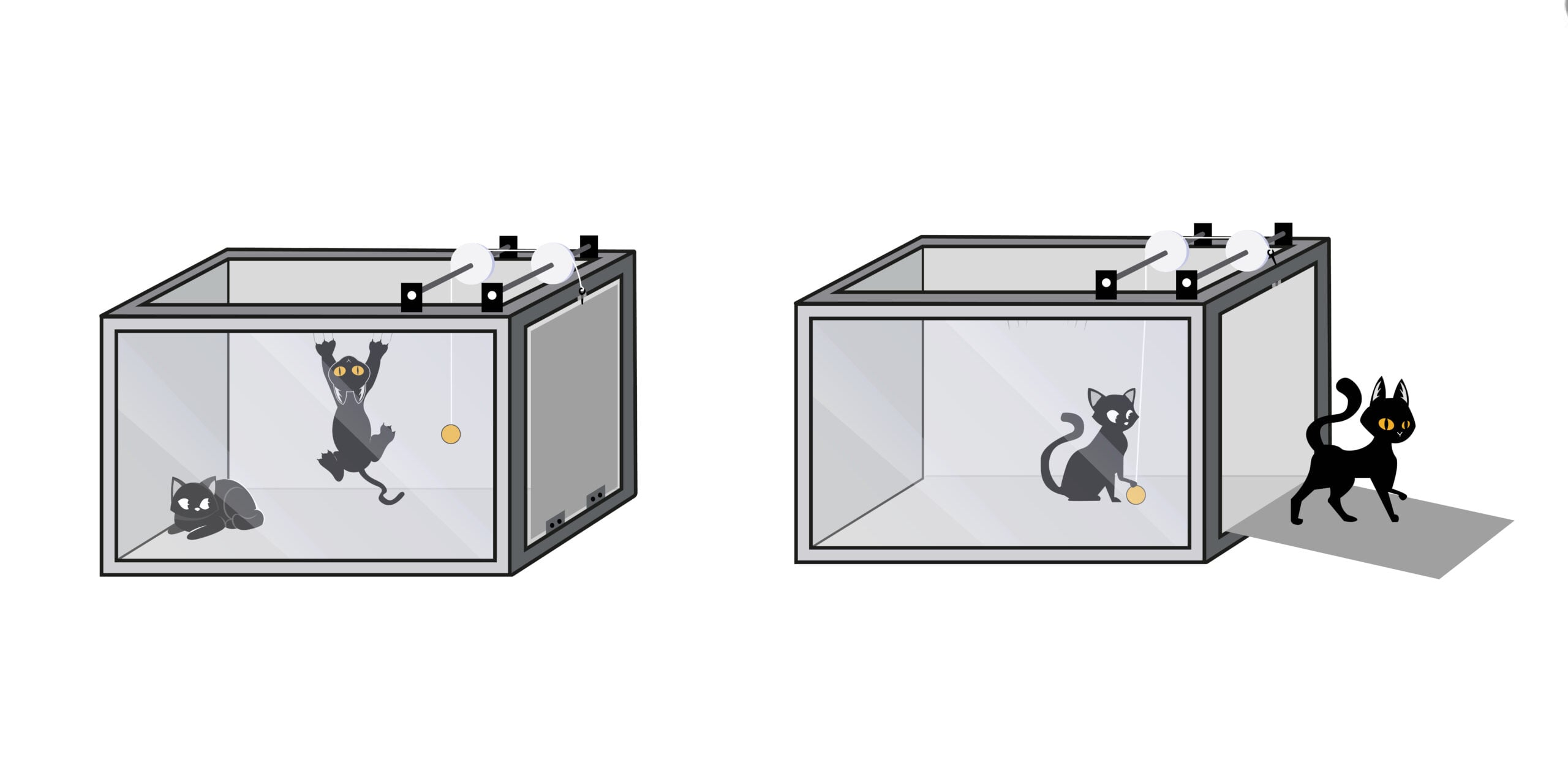 skinner's cat lever operant